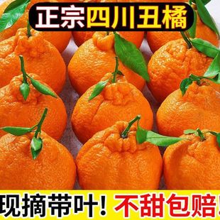 �Ĵ���֪��������r������ˮ�����l�ҰҸ����θ̽��������������u