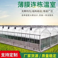 连栋薄膜温室大棚连体温室外遮阳连栋棚工程建设管钢架保温