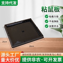 ճ��������������ϰ��ˮ�Ӵ�Ӻ�WУ�}���r��ճ�߰�羳���r