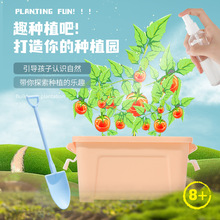 阳光房种植儿童植物观察小学生科学实验套装手工diy材料玩具礼物