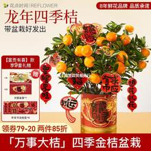 2024�����ļ������Խ�ۘ䎧���l؛�̨�Gֲ���������ͶY