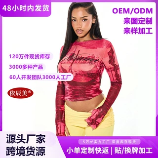 欧美跨境爆款复古油画风景印花网纱上衣修身短款套指长袖打底T恤