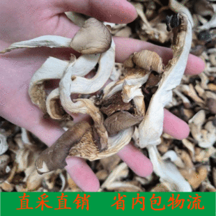 500g��؛ ƽ�� �U�~�� ��ƽ�� ���乽�Pβ�� ɢ�b���l�Ҝ�����