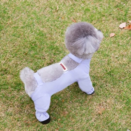 狗狗服装;宠物绝育服/生理裤;宠物围巾