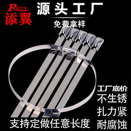不锈钢扎带201 304材质100*4.6*300*7.9*200*500*400船用金属扎带
