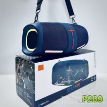 P289�{�������y�ɲ�ж�玧�����ˮ�������p��Ĥ30W���������