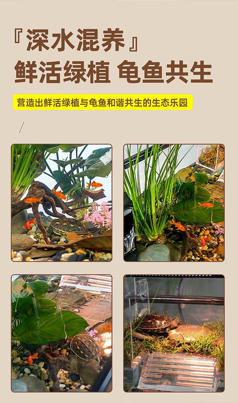 cf8b6b81-35f3-4ec5-aca2-7051e4c28573.jpe