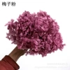 Plum powder