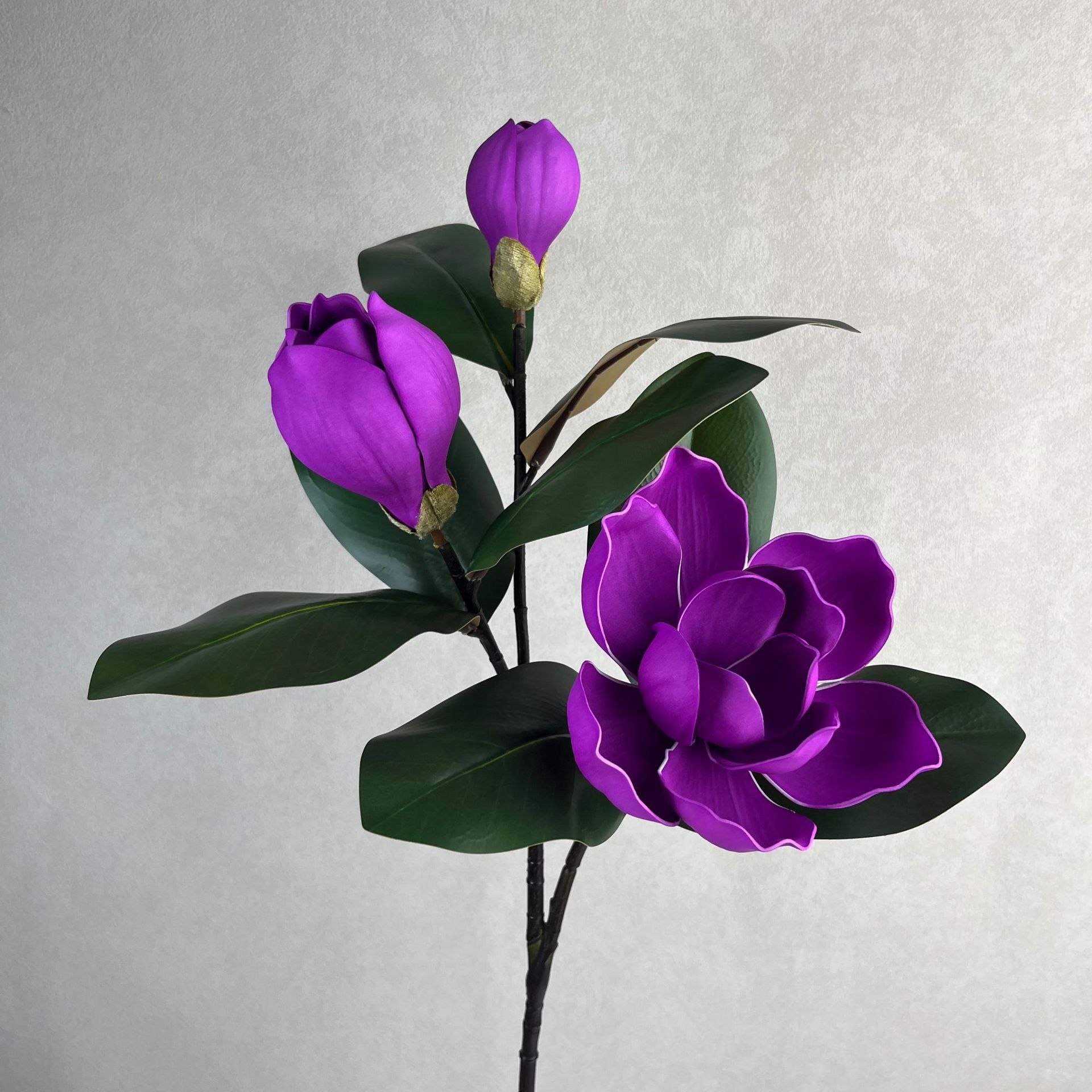 Morado