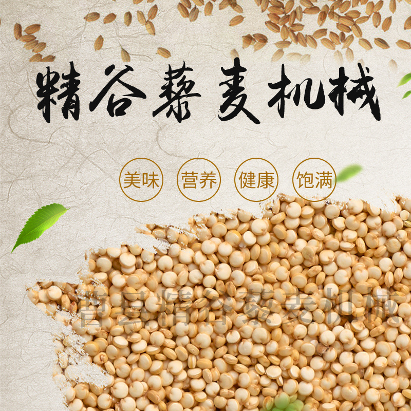 藜麦去壳去皂苷设备  藜麦清理去石机  全自动藜麦脱皮抛光机