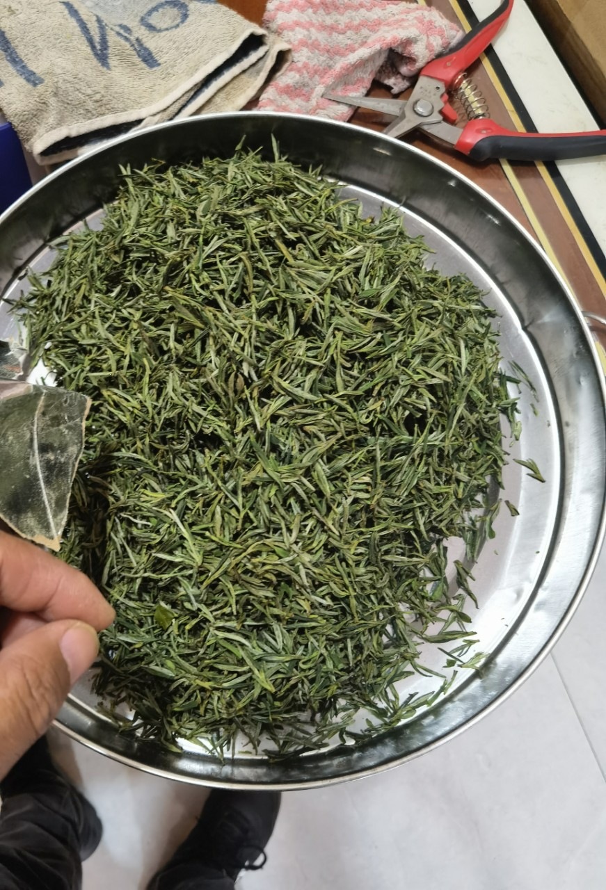 Huoshan Huangya Yellow Tea 2026 Spring Loose Leaf 250g Rich Aroma Grade One overview