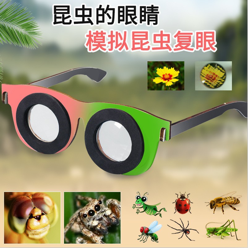 Science and Technology Small Production Insect Eyes Polyprism Compound Eye DIY Science Small Experiment Kidsren's Play Teaching Aid Material Package
