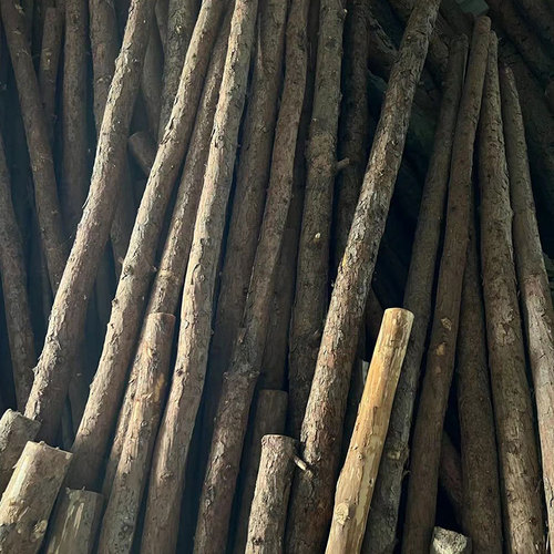 Pine tree poles, larch pine piles, logs, garden decoration, river piling support poles, engineering construction materials