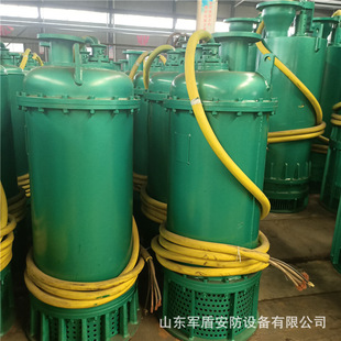 �V�÷�����ˮ��BQS140-90/3-75 ��ɳ��ˮ�� �������T�F��ˮ��660V