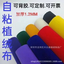 �錚���̨������ճֲ�q�� �Ӻ���ܲ��׵�ë