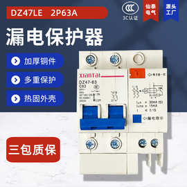 2P63A漏电断路器 供应C63小型漏电开关 温州厂家销售漏电保护器