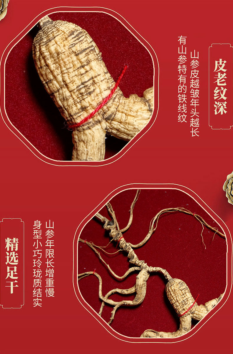 Wild Mountain Ginseng Gift Box Dried Root Slices 15 Years and Above for Soup and Decoction quality and texture