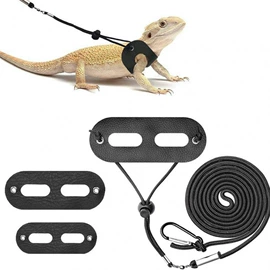 宠物周边用品;其他小宠用品;狗狗食具