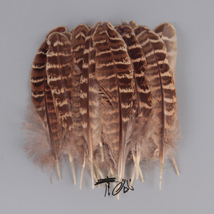�F؛���l���|10-15cm��ɫĸɽ�u�C����b�o�Ϲ�ˇƷ������Ȼ��ë