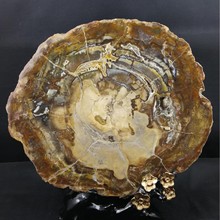 �R�_��˹�Ӿ�Ʒ�؃r�t��ľ����仯ʯ�軯ľ���|����[��