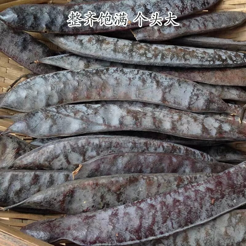 Whole Chinese Honey Locust Pods Zao Jiao 500g Dried Gleditsia sinensis Traditional Herbal Decoction Pieces overview