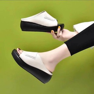 2024�괺�Ŀ��¸���ֺ�|�ρ���������Ь