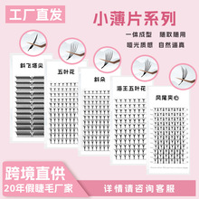 漫画款多种花型假睫毛一体不散根嫁接自然卷翘Eyelash美睫店专用
