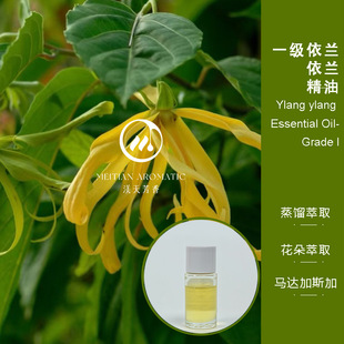 һ�����m���m����&middot;�R�_��˹�� ���췼��ԭ�����l ��Ħ�o�w��޹