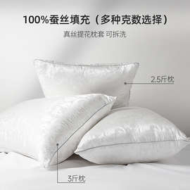90S1【专柜同款】太湖雪全蚕丝枕头单人带枕套真丝枕芯一只装48×
