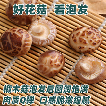 ll房县小花菇菌菇助农特产神农架非野生椴木迷你蘑菇冬菇干货香菇