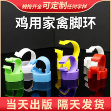 �Bֳ�����u�_�h�����_��ʽ�����u���Z��ӛʽ��������_�h������Ϣ