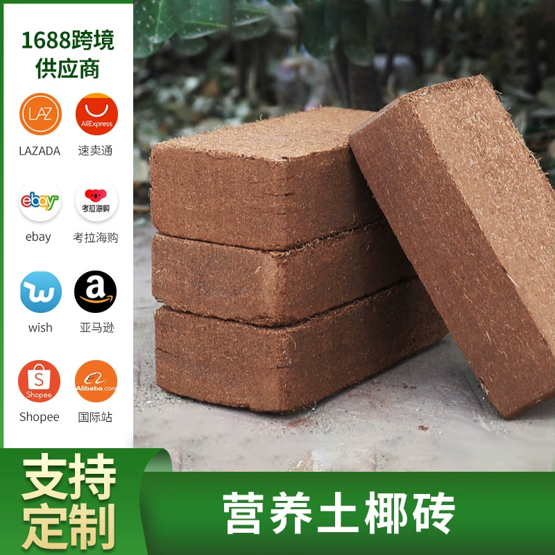 Культивируемый питательный почв Кокосовый отрубей Кирпич Кокосовый кирпич 650 г грубой кокосовой скорлупы