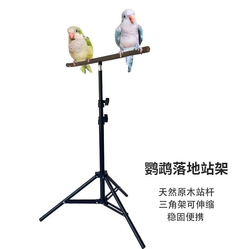 Подставка-штатив для попугая, монах, маленькое солнце, шлифовальная палочка для когтей, стоячая стойка, интерактивная подставка для дрессировки птиц, портативная напольная и выдвижная.
