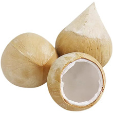 泰国椰皇上海发货顺丰包邮新鲜水果椰子椰皇一件代发