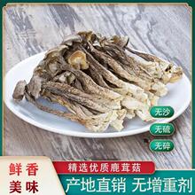 鹿茸菇干货500g鹿茸菌新鲜脆脆菇蘑姑干香菇云南菌子特级煲汤食材