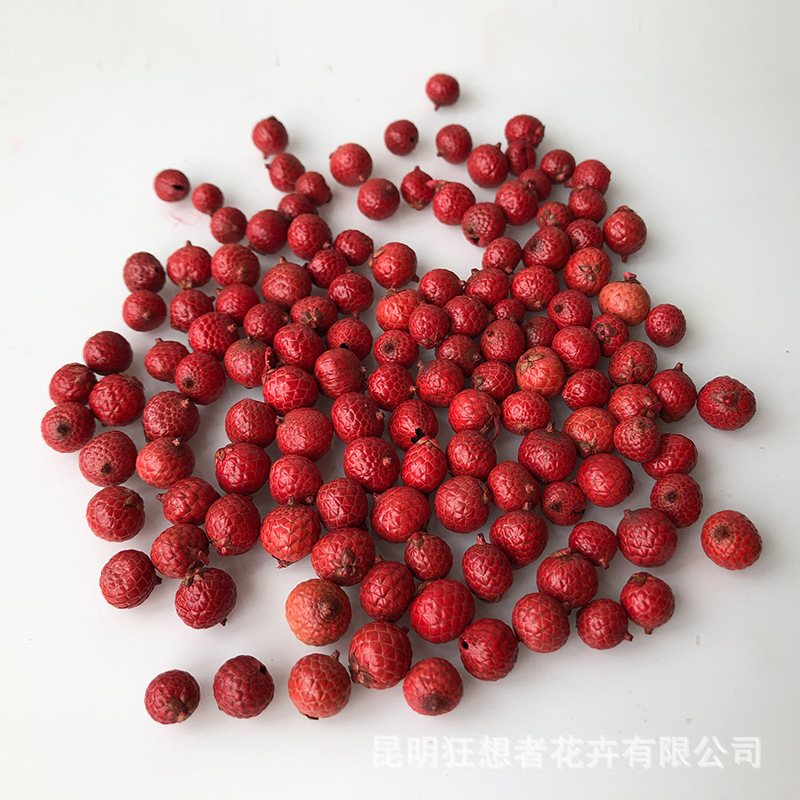 Quả ngọc chỉ có màu đỏ (một túi 20 gam, khoảng 130 quả)