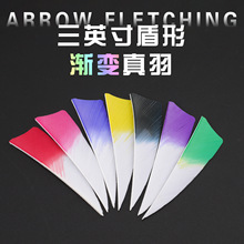 �羳��Ʒ�������3Ӣ�����Ⱦ�^�u׃��ɫ�������ͺς��y�����