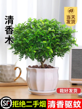 �����������ľ���ԾGֲ��òݻ���ֲ���҃Ș���������Ϙ��辰