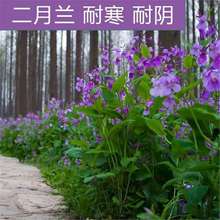 �����m�N�ӻ����T��˶����{�������޸����N����ͥԺ�ͺ����50��