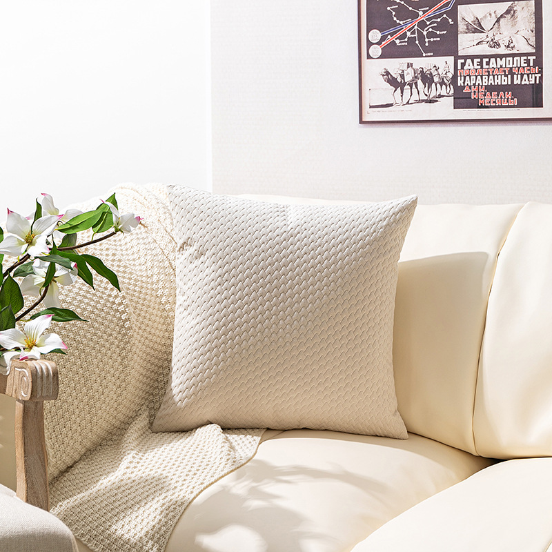 New Nordic Simple Dutch Velvet Three-Dimensional Embossed Twill Large Pillow Cushion Sofa Waist Pillowcase_voghion.com