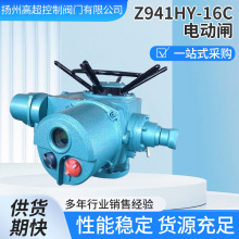 Z941H/Y-16C늄��l�y�{��������304/316���P䓷��m�_�P�߷���