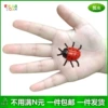 Simulated ladybug (3*3.5cm)
