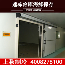 上海上秋制冷恆溫冷庫保鮮儲藏庫設計安裝工程設備全套冷庫門投資