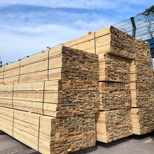 ���B����ľ����ľ���̌�ľľ��10*10���~��ľ��ľ�Cе�|ľ