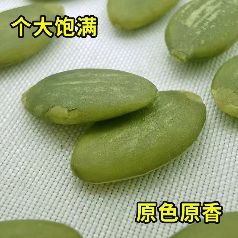 【ドロップシッピング】調理済みカボチャの種 500g 殻なしカボチャの種 焼き揚げナッツ ドライフルーツ スナック カボチャの種|undefined