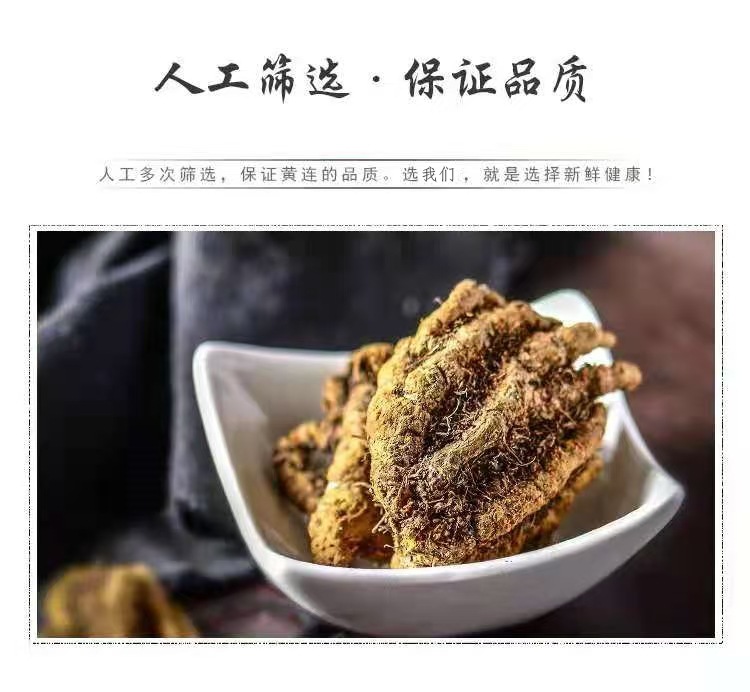 Sichuan Huang Lian (Coptis chinensis) — Dried Bitter Herb Slices & Fine Powder quality and texture