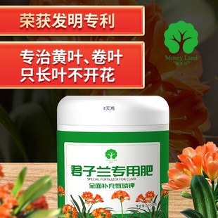 �����m���� ���m����ጠI�B�w����ֲ�ﻨ��ͨ�ÿ�ጷ�