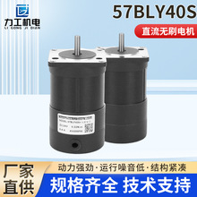 ֱ���oˢ늙C57BLY40S������ ���I΢��늙C늄���݆܇��܇늙C