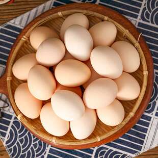 ����ɢ�B���u�����r�r�������ЋD���u�����u���x�ݵ����u���l����