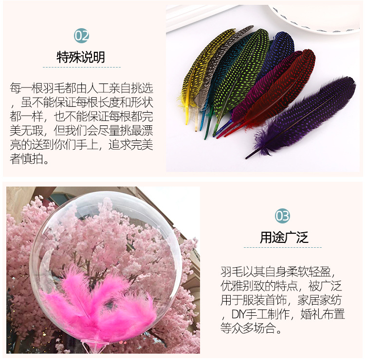 珍珠窝翎_03.jpg